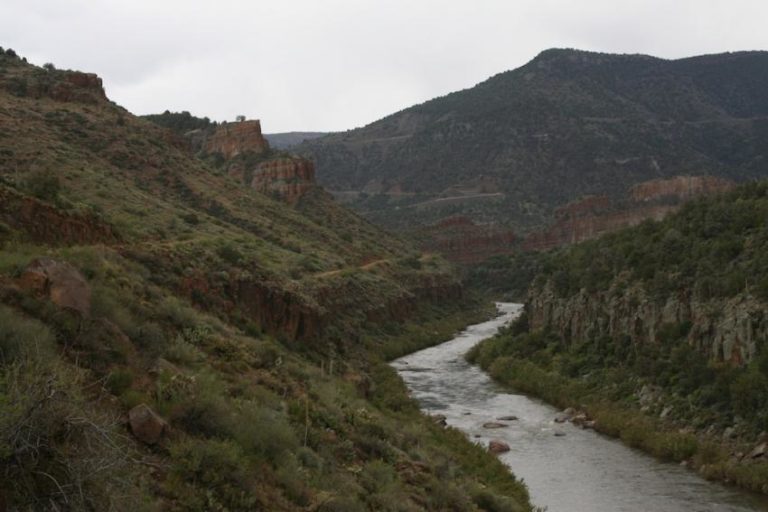 Salt River River Rafting-Arizona-Mild to Wild
