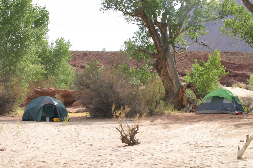 Photo Credit- Mild to Wild Rafting and Jeep Tours- Colorado River Hidden Gems