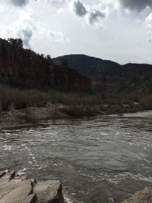Salt River AZ