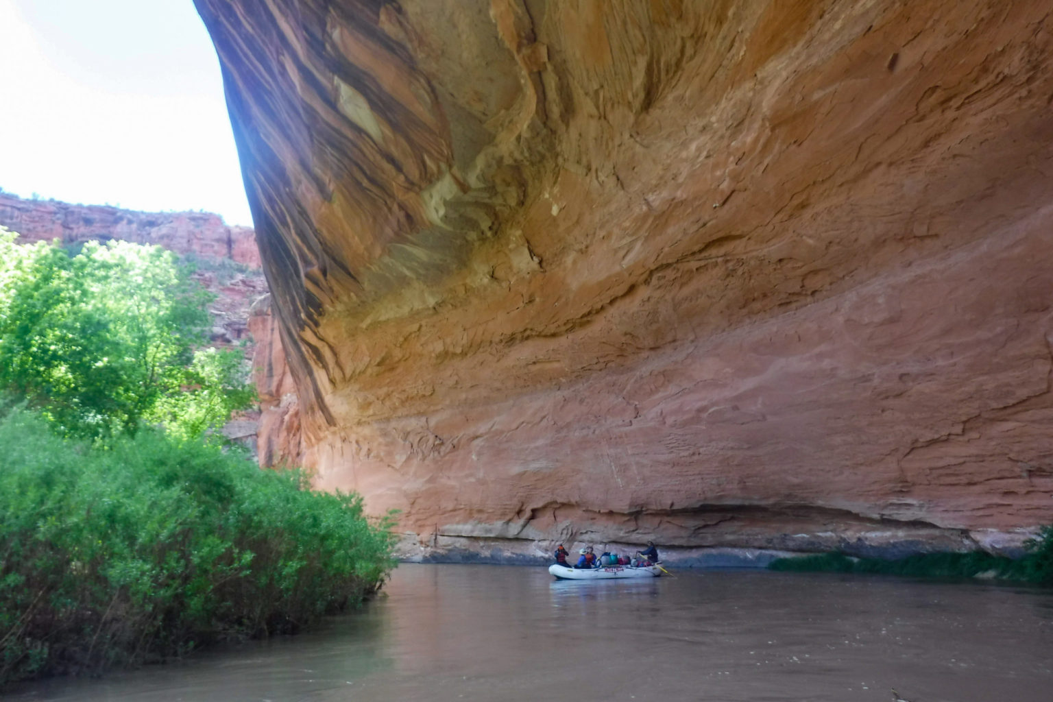 rafting on dolores river through canyon – mild to wild rafting