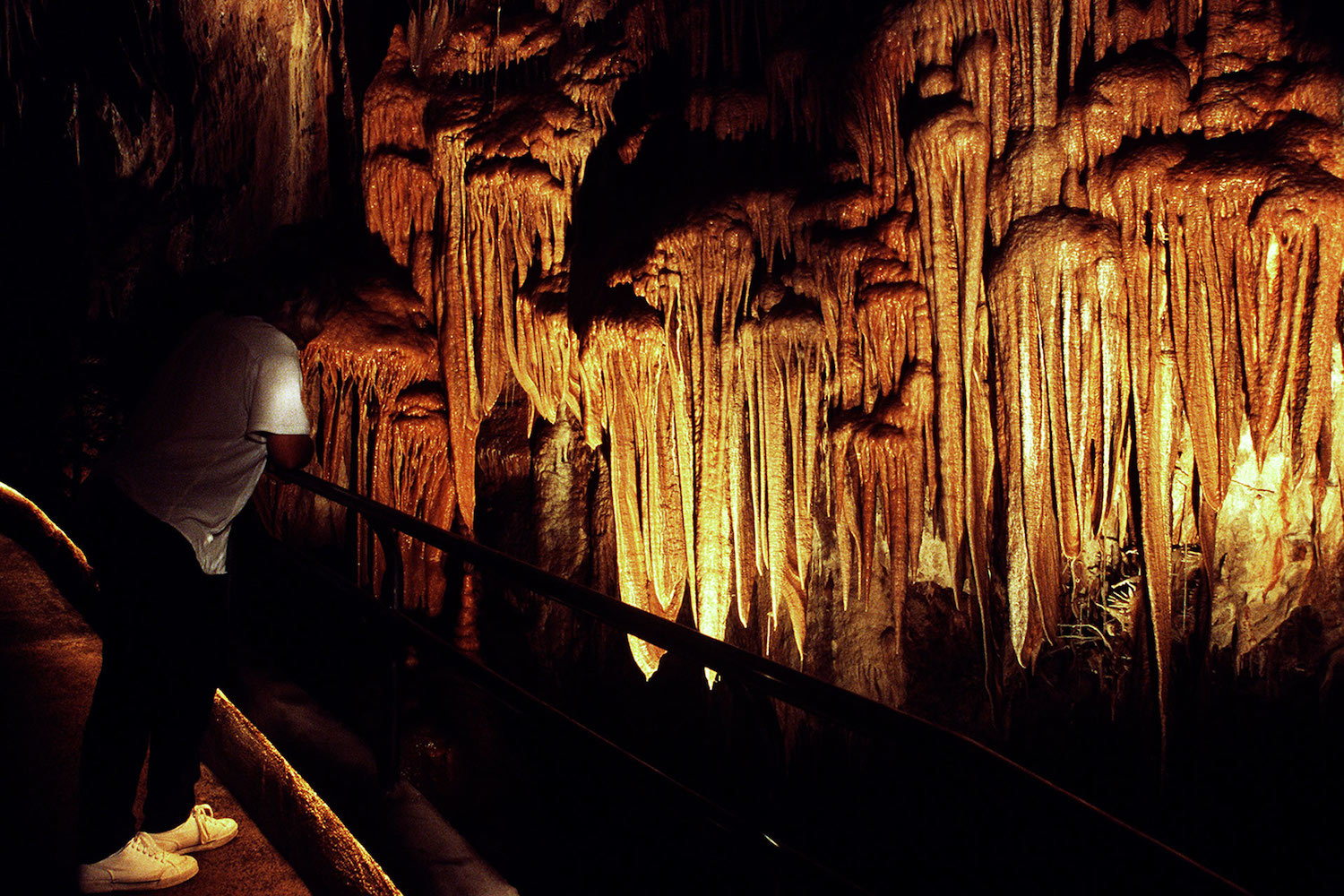Man looking a cave formations - Mild to Wild 